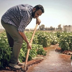 تقييم واقع وفاعلية برامج سبل العيش الزراعية في منطقتي درع الفرات وعفرين